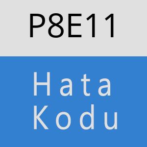 P8E11 hatasi