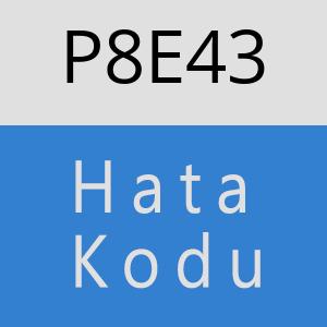 P8E43 hatasi