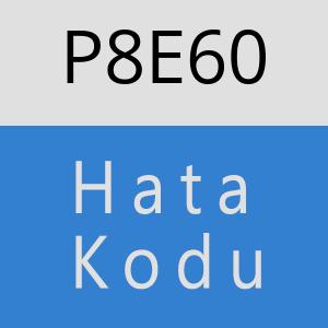 P8E60 hatasi