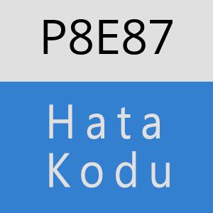 P8E87 hatasi