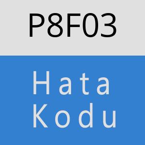 P8F03 hatasi