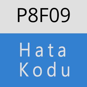 P8F09 hatasi