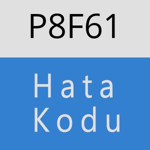 P8F61 hatasi