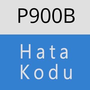 P900B hatasi