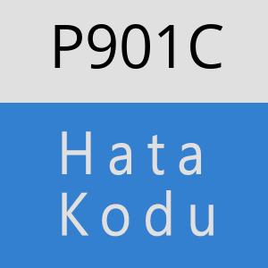 P901C hatasi