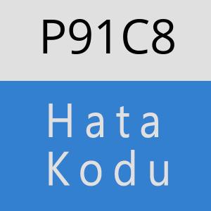 P91C8 hatasi