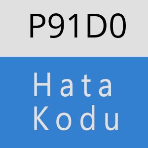 P91D0 hatasi