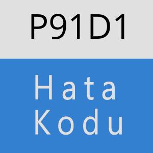 P91D1 hatasi