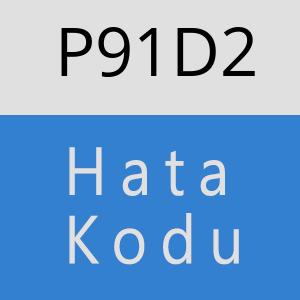 P91D2 hatasi