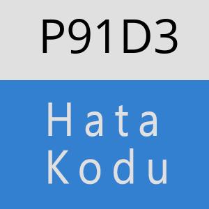 P91D3 hatasi