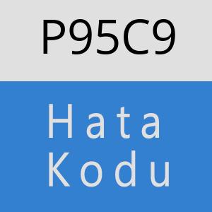 P95C9 hatasi