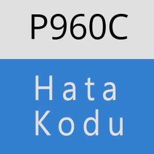 P960C hatasi