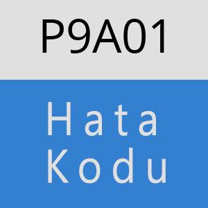 P9A01 hatasi