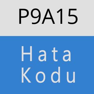 P9A15 hatasi