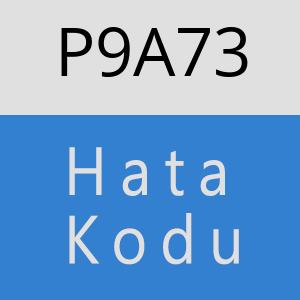 P9A73 hatasi