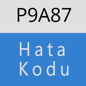 P9A87 hatasi