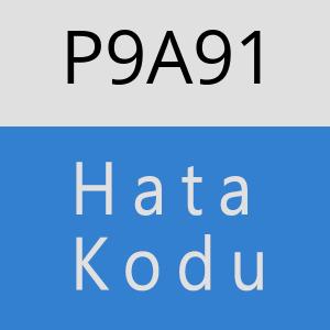 P9A91 hatasi