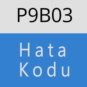 P9B03 hatasi