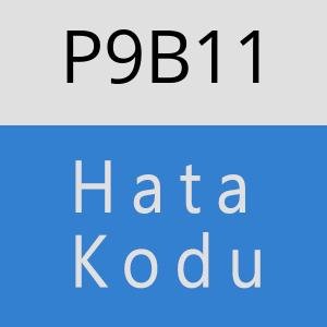 P9B11 hatasi