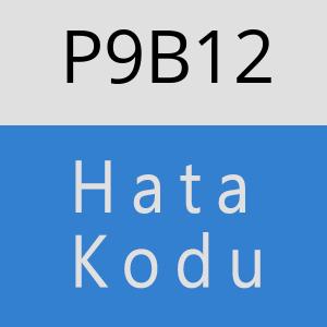 P9B12 hatasi