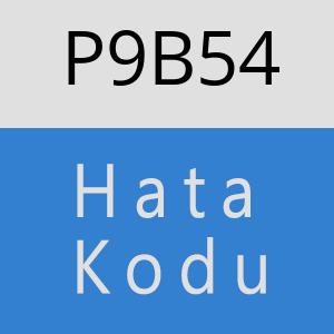 P9B54 hatasi