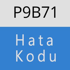 P9B71 hatasi