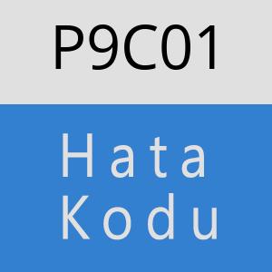 P9C01 hatasi