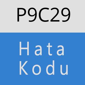 P9C29 hatasi