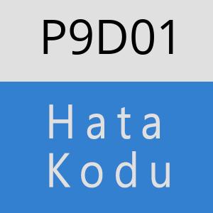 P9D01 hatasi