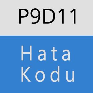 P9D11 hatasi