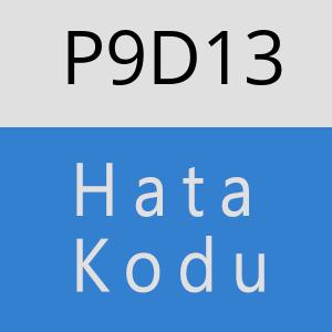 P9D13 hatasi