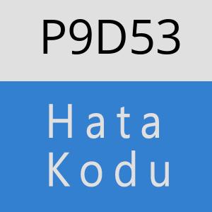 P9D53 hatasi