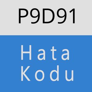 P9D91 hatasi