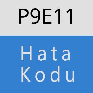 P9E11 hatasi