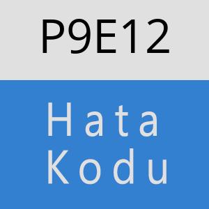 P9E12 hatasi