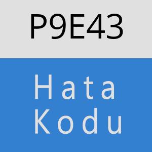 P9E43 hatasi