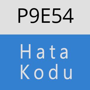 P9E54 hatasi