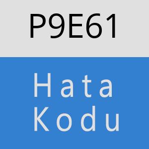 P9E61 hatasi