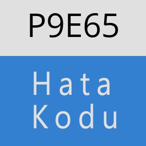 P9E65 hatasi