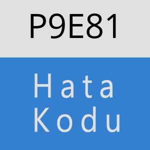 P9E81 hatasi