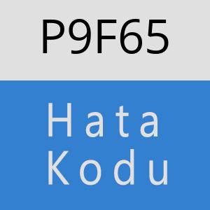 P9F65 hatasi