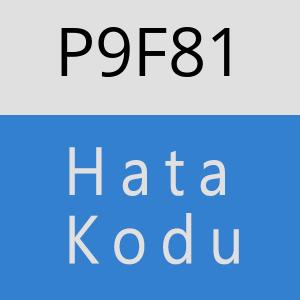 P9F81 hatasi