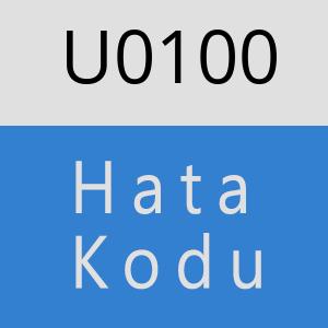 U0100 hatasi