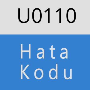 U0110 hatasi