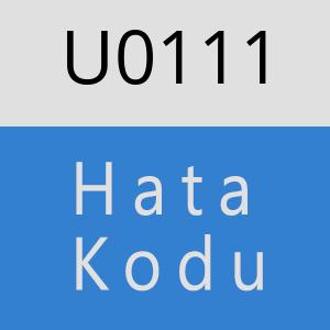 U0111 hatasi