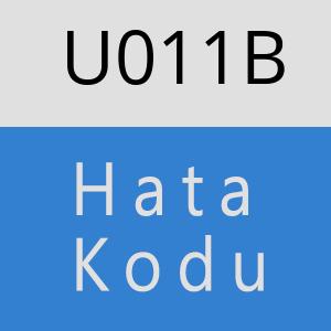 U011B hatasi