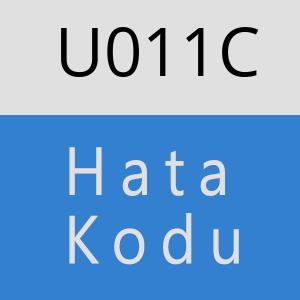 U011C hatasi