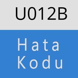 U012B hatasi