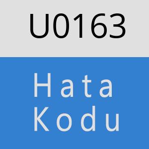 U0163 hatasi