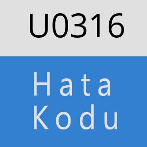 U0316 hatasi